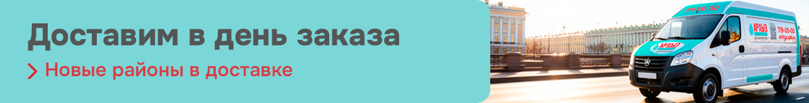 Доставка в день заказа растяжка весна