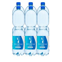 Вода минеральная «СИЛА ВОДЫ Карелия» 6х1,5 л, газ ПЭТ
