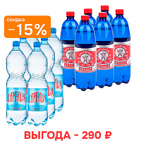 Набор «Детокс и антистресс»: вода «Стэлмас Mg+» и «Карелия сияние озёр»