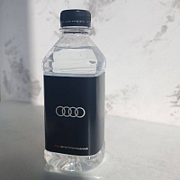 Брендированная вода №2 0,33 л, ПЭТ (этикетка круговая бумажная)