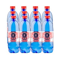 Вода лечебно-столовая «Стэлмас Mg+» 12х0,5 л, газ, ПЭТ