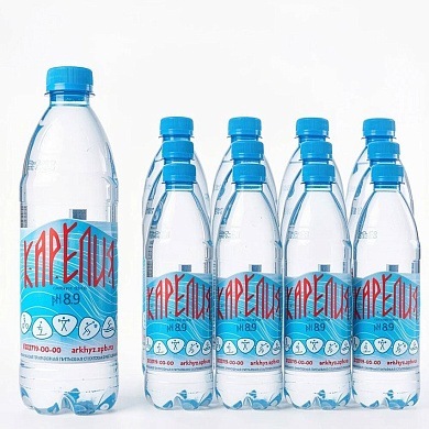 Вода щелочная «Карелия сияние озер» 12х0,5 л, без газа ПЭТ